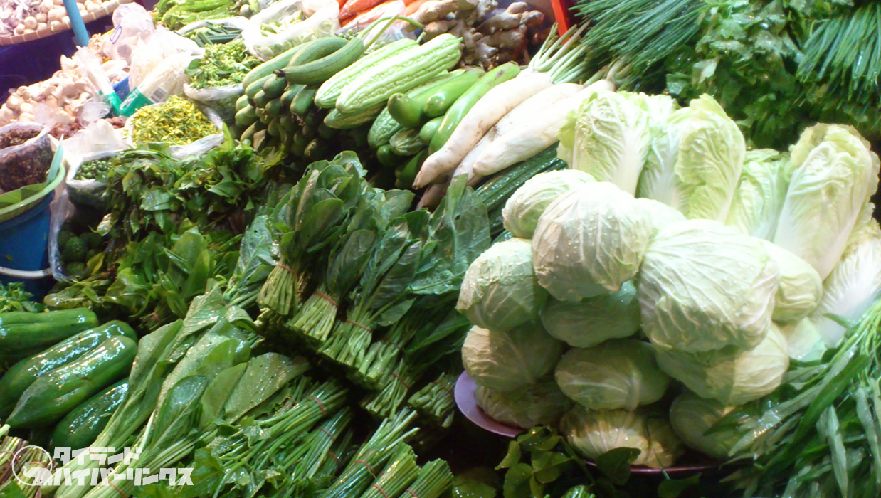 野菜に隠れたミャンマー人53名がタイに密入国