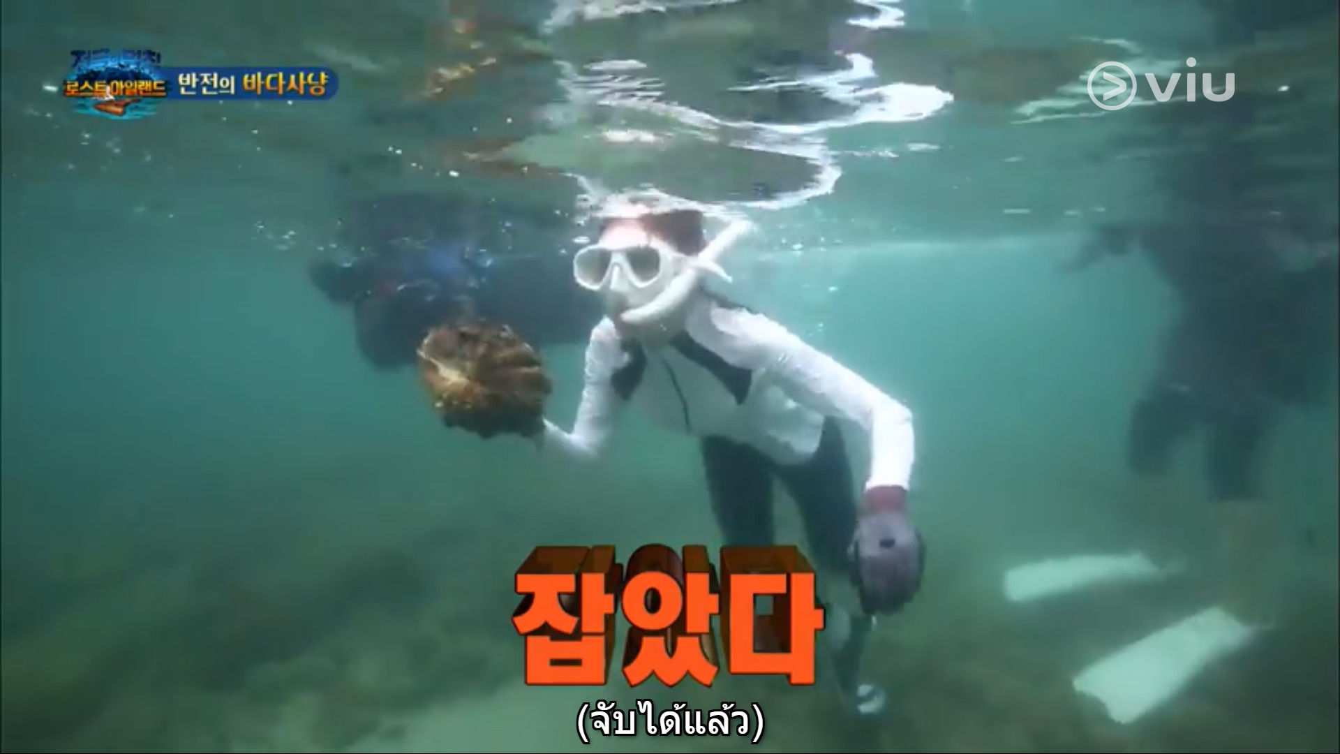 韓国のtv番組がタイで違法行為 絶滅危惧種のオオシャコガイを捕獲して食べる タイランドハイパーリンクス Thai Hyper
