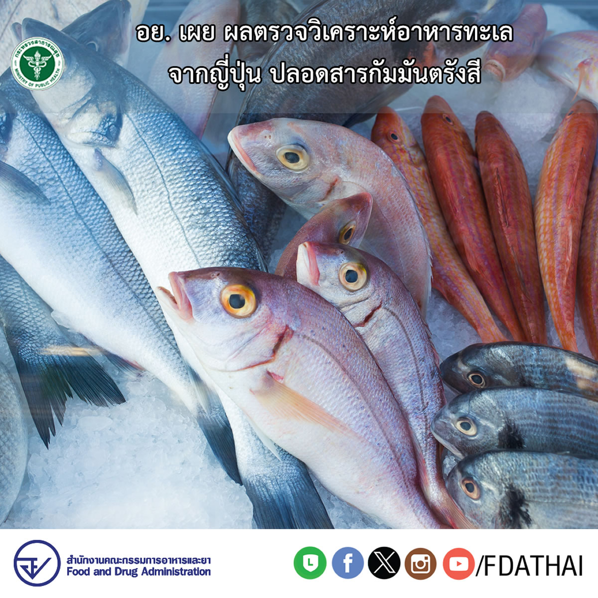 タイ、日本から輸入される魚介類は安全と発表